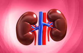 Best Kidney Doctor