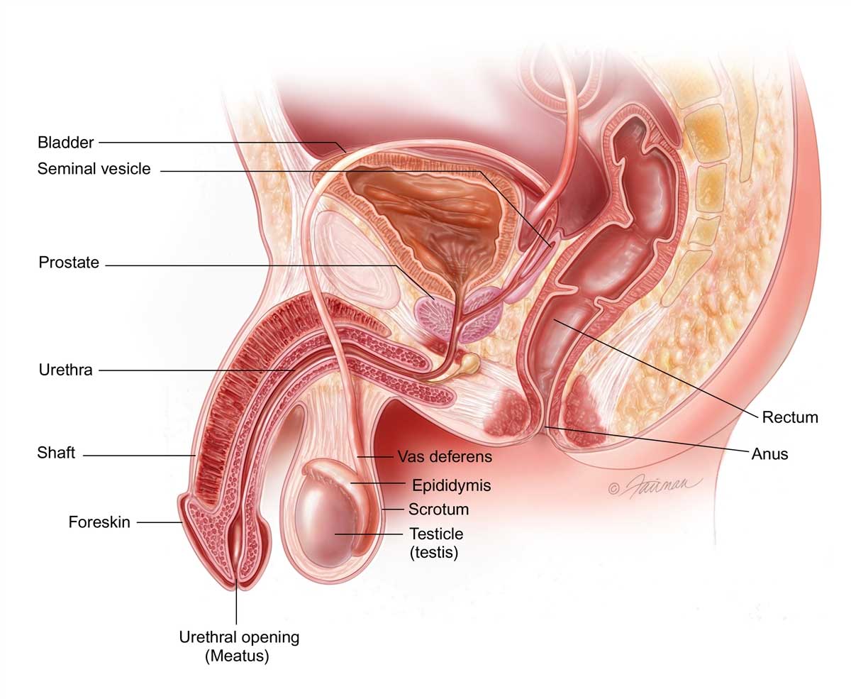 Prostate Problem Treatment